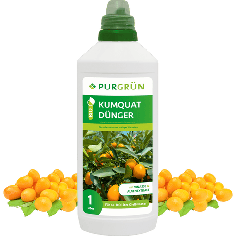 Bio-Kumquat-Dünger 1 Liter - Purgrün
