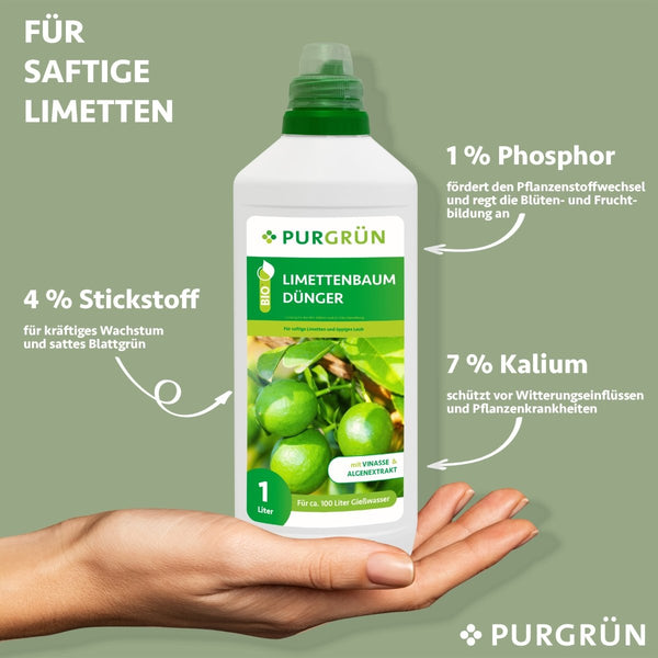 Bio-Limettenbaum-Dünger 1 Liter - Purgrün