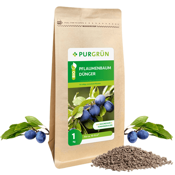 Bio-Pflaumenbaum-Dünger 1 kg - Purgrün