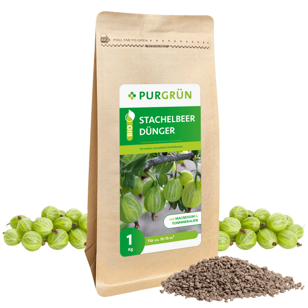 Bio-Stachelbeer-Dünger 1 kg - Purgrün