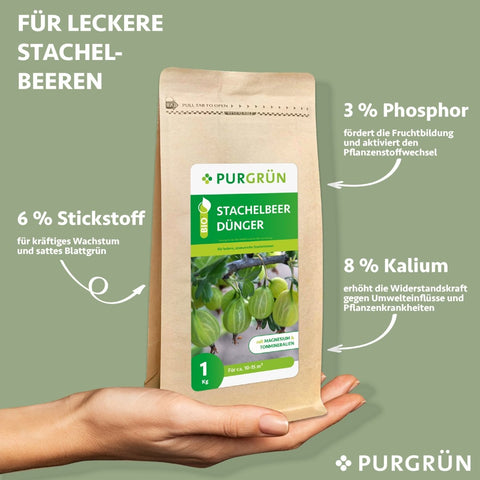 Bio-Stachelbeer-Dünger 1 kg - Purgrün