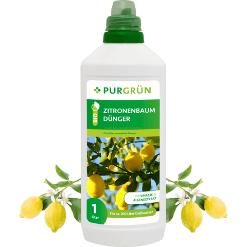 Bio-Zitronenbaum-Dünger 1 Liter - Purgrün