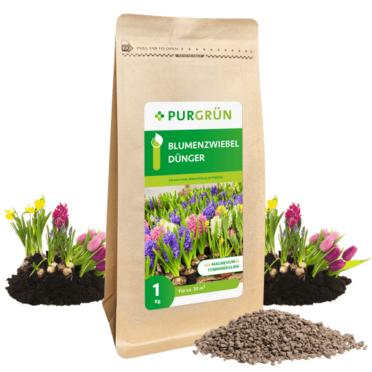 Blumenzwiebel-Dünger 1 kg - Purgrün