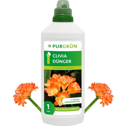 Clivia-Dünger 1 Liter - Purgrün
