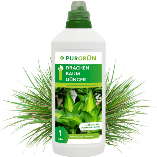 Drachenbaumdünger 1 Liter - Purgrün