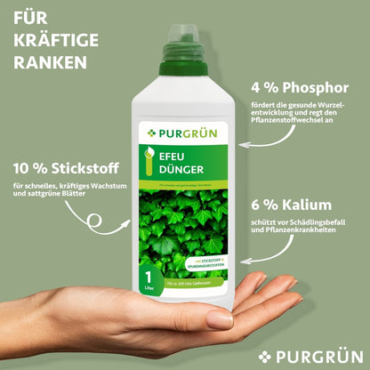 Efeu-Dünger 1 Liter - Purgrün