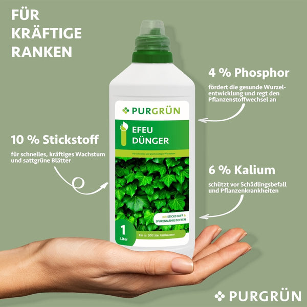 phosphor dünger cannabis Bobs Hanfglück main image 1