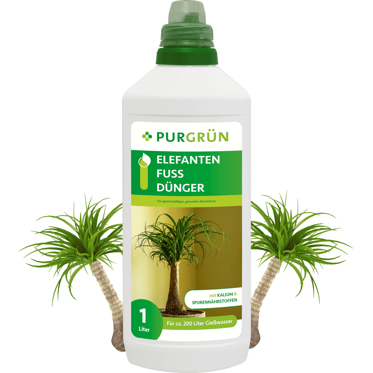 Elefantenfuß-Dünger 1 Liter - Purgrün