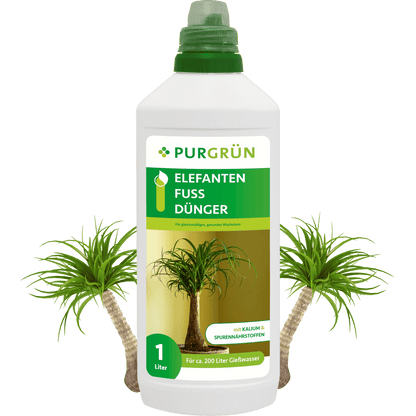 Elefantenfuß-Dünger 1 Liter - Purgrün