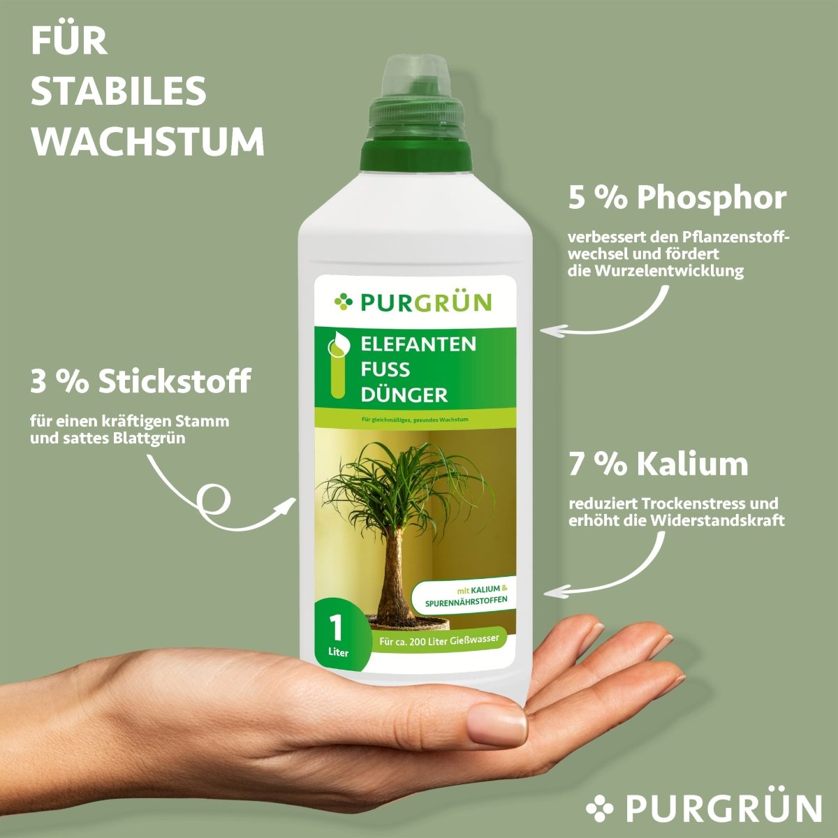 Elefantenfuß-Dünger 1 Liter - Purgrün