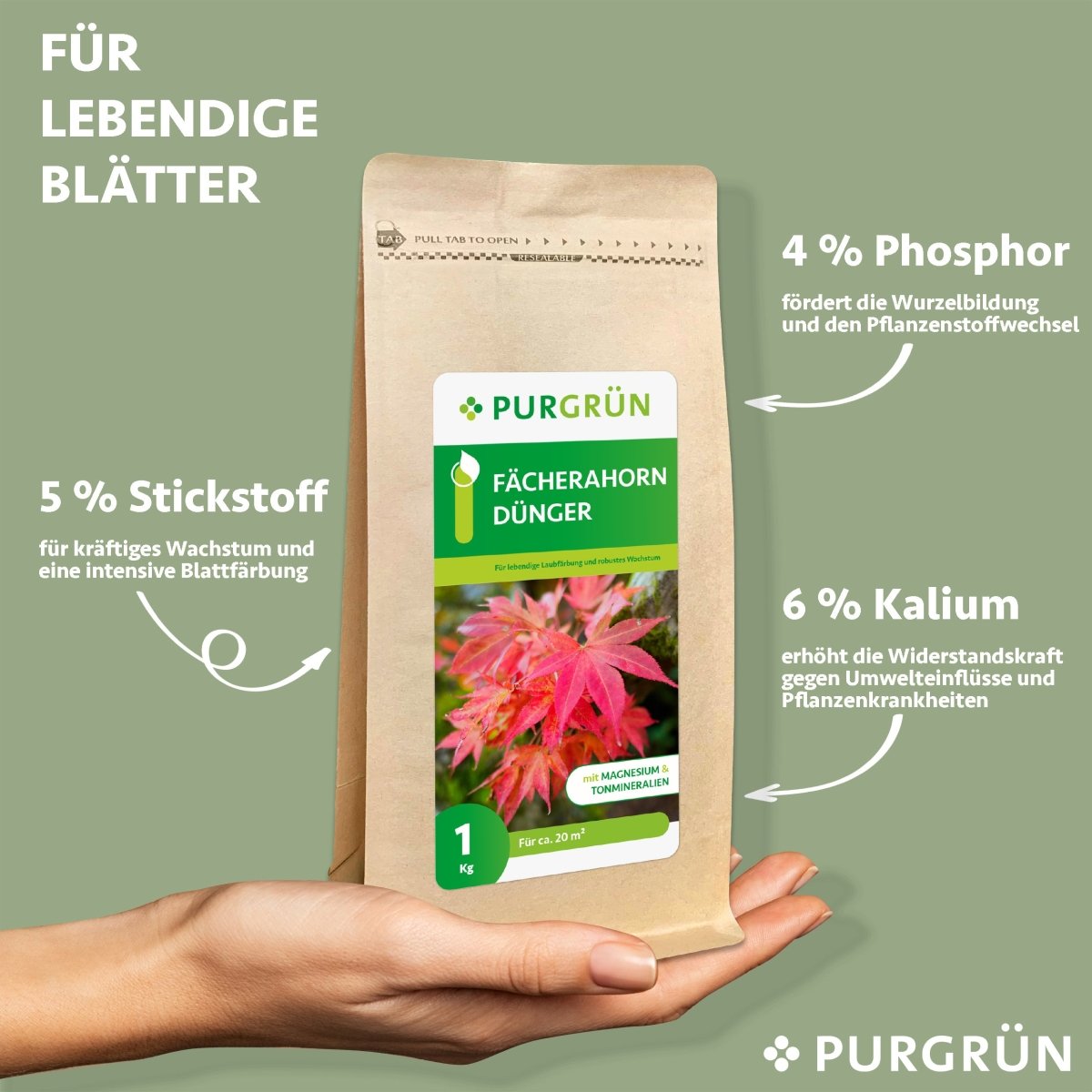 Fächerahorn-Dünger 1 kg - Purgrün