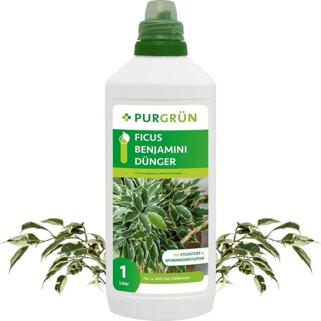 Ficus-Benjamini-Dünger 1 Liter - Purgrün