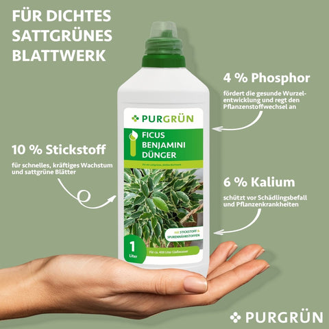 Ficus-Benjamini-Dünger 1 Liter - Purgrün