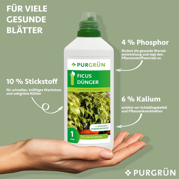 Ficus-Dünger 1 Liter - Purgrün