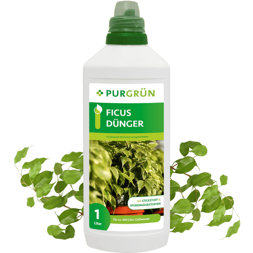 Ficus-Dünger 1 Liter - Purgrün