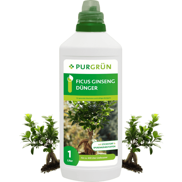 Ficus-Ginseng-Dünger 1 Liter - Purgrün