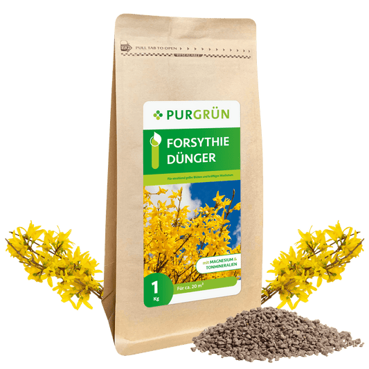 Forsythie-Dünger 1 kg - Purgrün