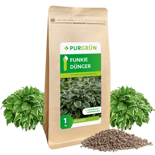 Funkie-Dünger 1 kg - Purgrün