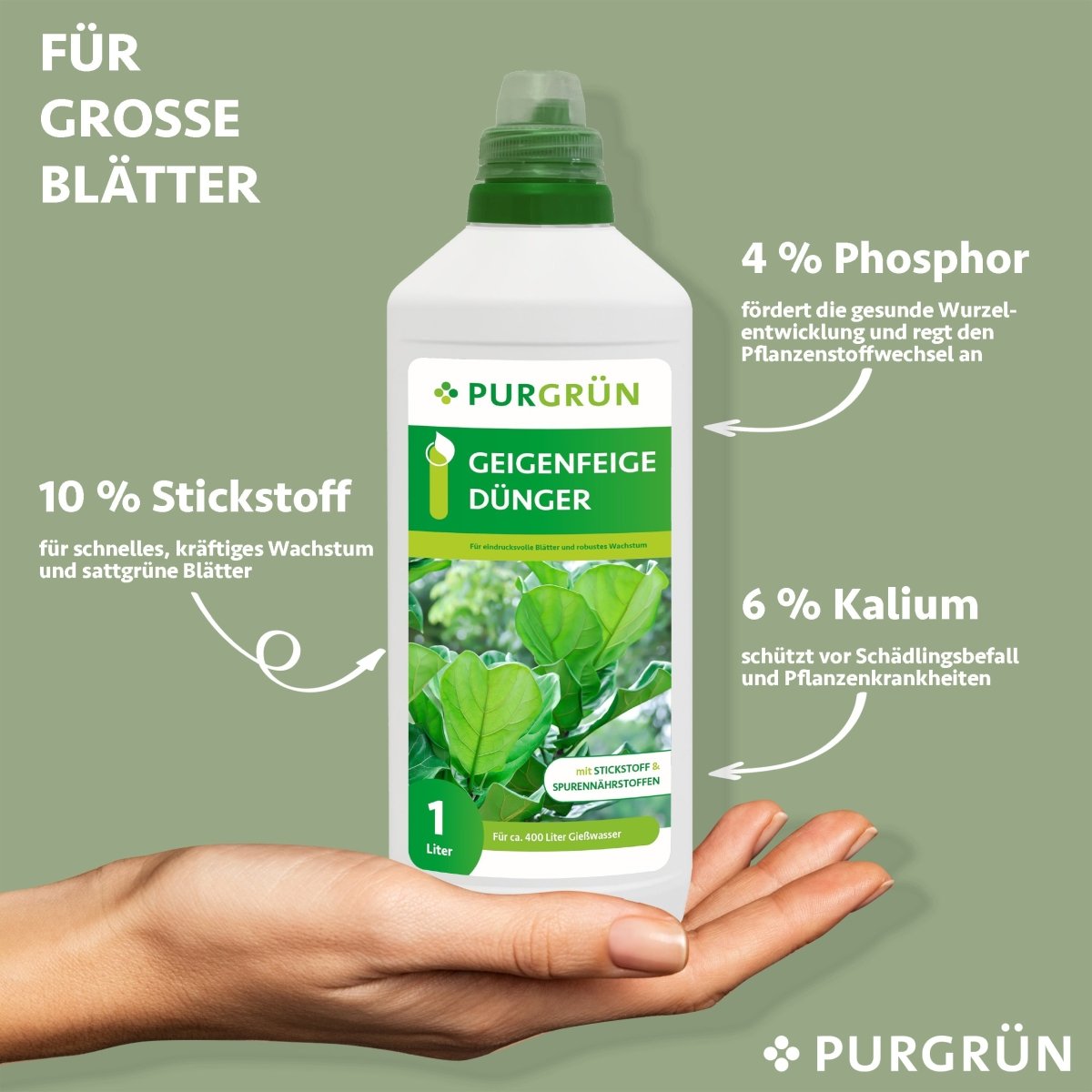 Geigenfeige-Dünger 1 Liter - Purgrün
