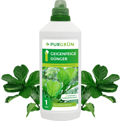Geigenfeige-Dünger 1 Liter - Purgrün