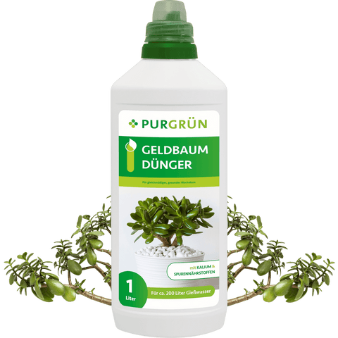 Geldbaum-Dünger 1 Liter - Purgrün