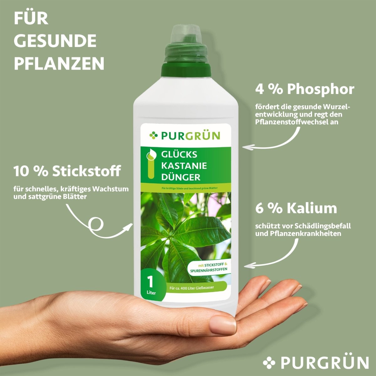 Glückskastanie-Dünger 1 Liter - Purgrün