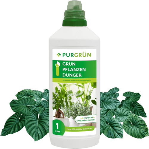Grünpflanzendünger 1 Liter - Purgrün