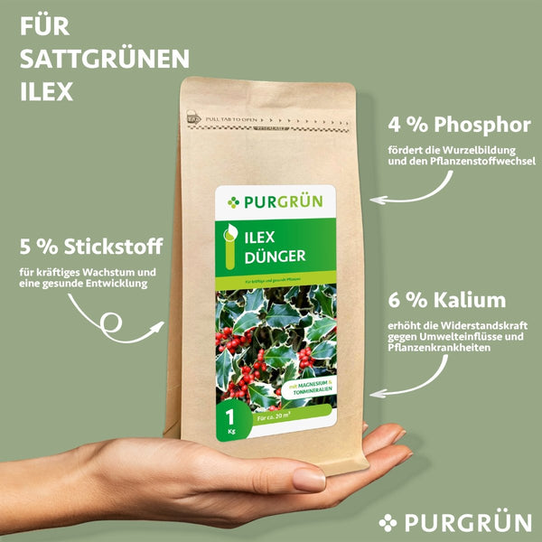 Ilex-Dünger 1 kg - Purgrün