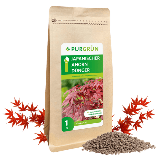Japanischer-Ahorn-Dünger 1 kg - Purgrün