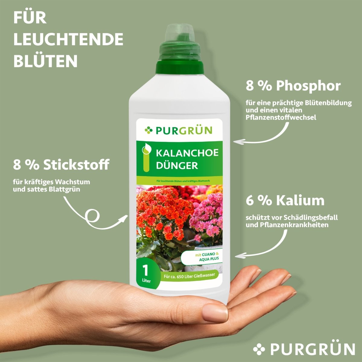 Kalanchoe-Dünger 1 Liter - Purgrün