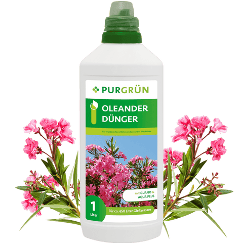 Oleander-Dünger 1 Liter - Purgrün