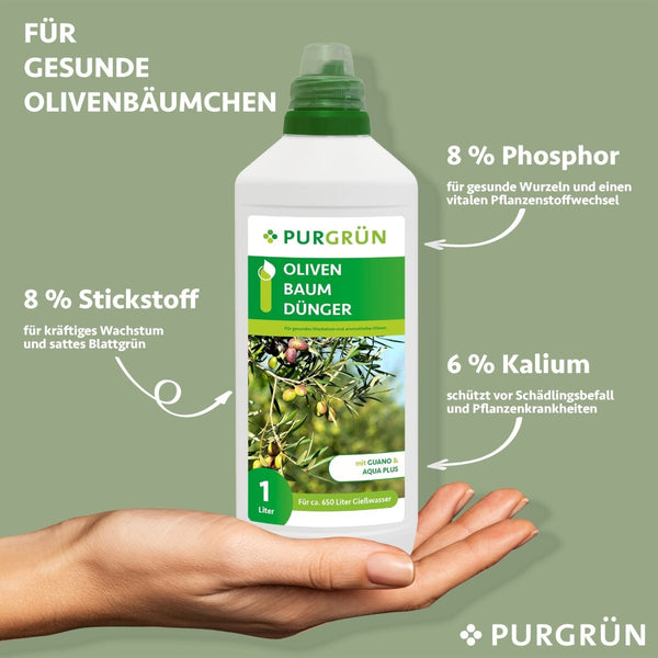 Olivenbaum-Dünger 1 Liter - Purgrün