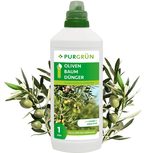 Olivenbaum-Dünger 1 Liter - Purgrün