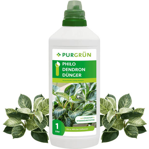 Philodendron-Dünger 1 Liter - Purgrün