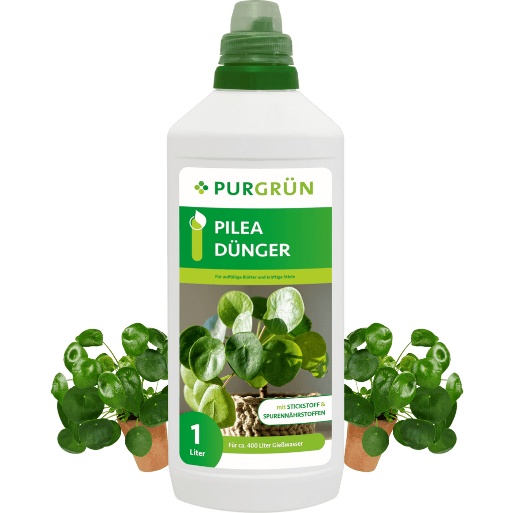 Pilea-Dünger 1 Liter - Purgrün