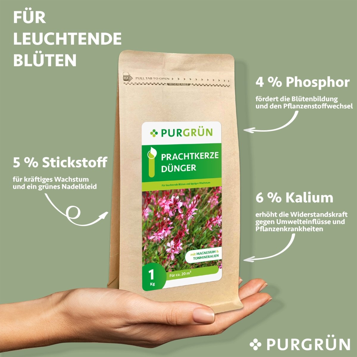 Prachtkerze-Dünger 1 kg - Purgrün