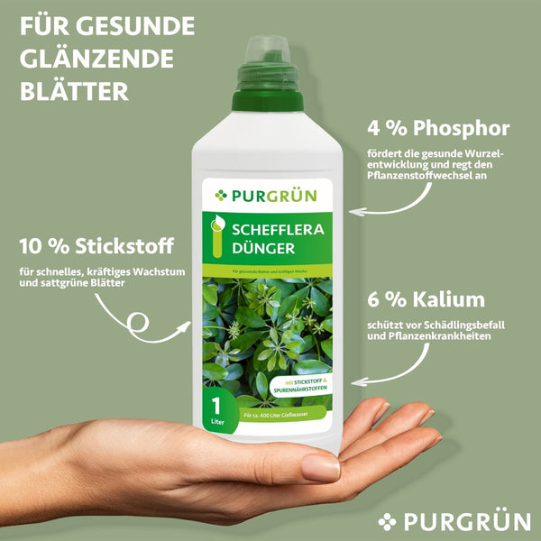 Schefflera-Dünger 1 Liter - Purgrün