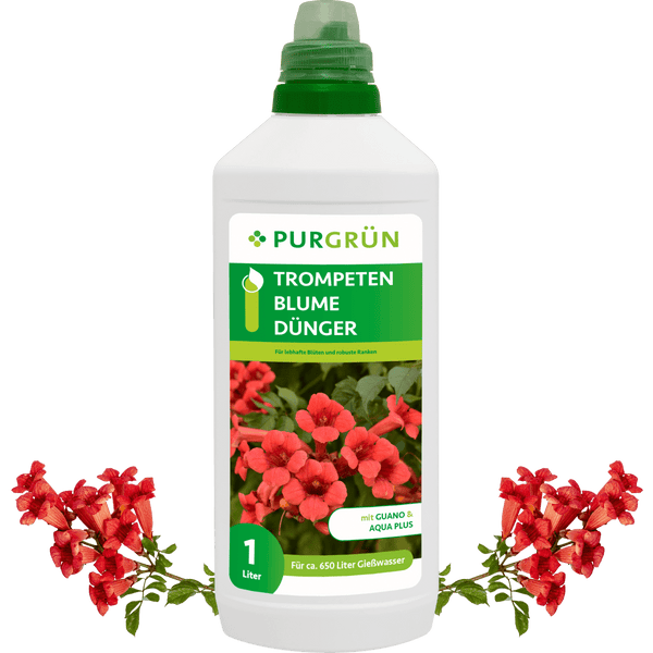 Trompetenblume-Dünger 1 Liter - Purgrün