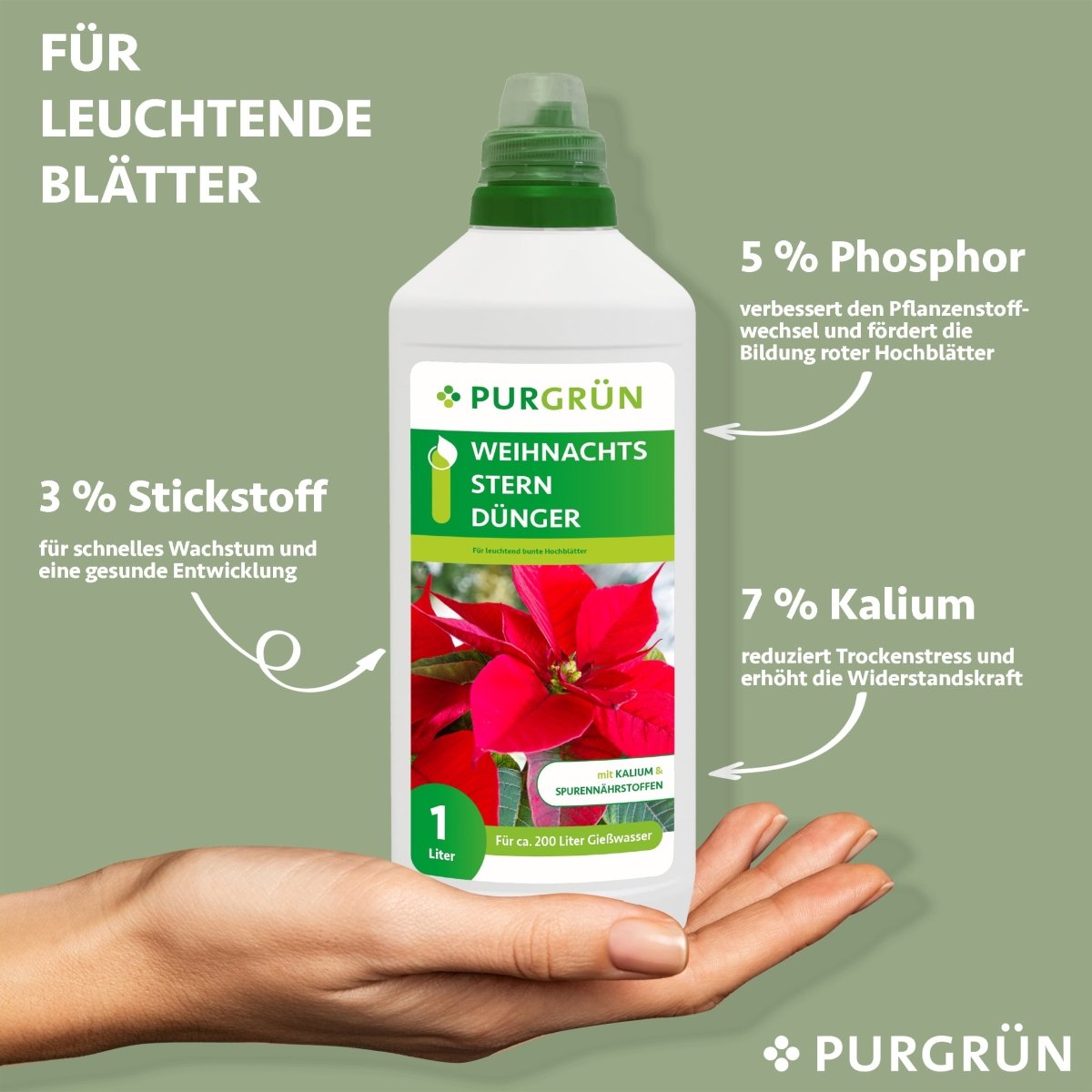 Weihnachtsstern-Dünger 1 Liter - Purgrün
