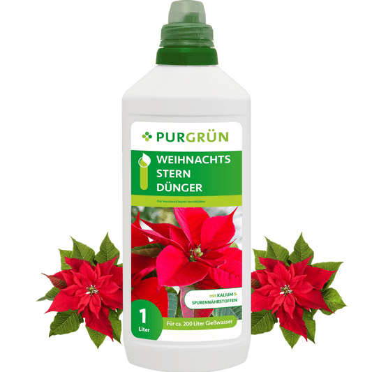 Weihnachtsstern-Dünger 1 Liter - Purgrün